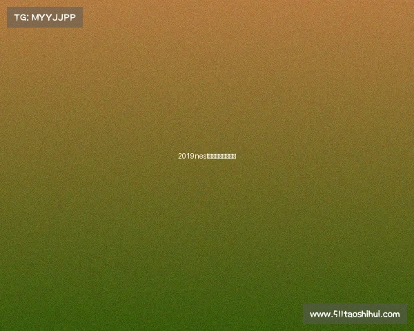 2019nest全国电子竞技大赛